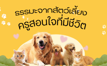 ธรรมะจากสัตว์เลี้ยง – ครูสอนใจที่มีชีวิต